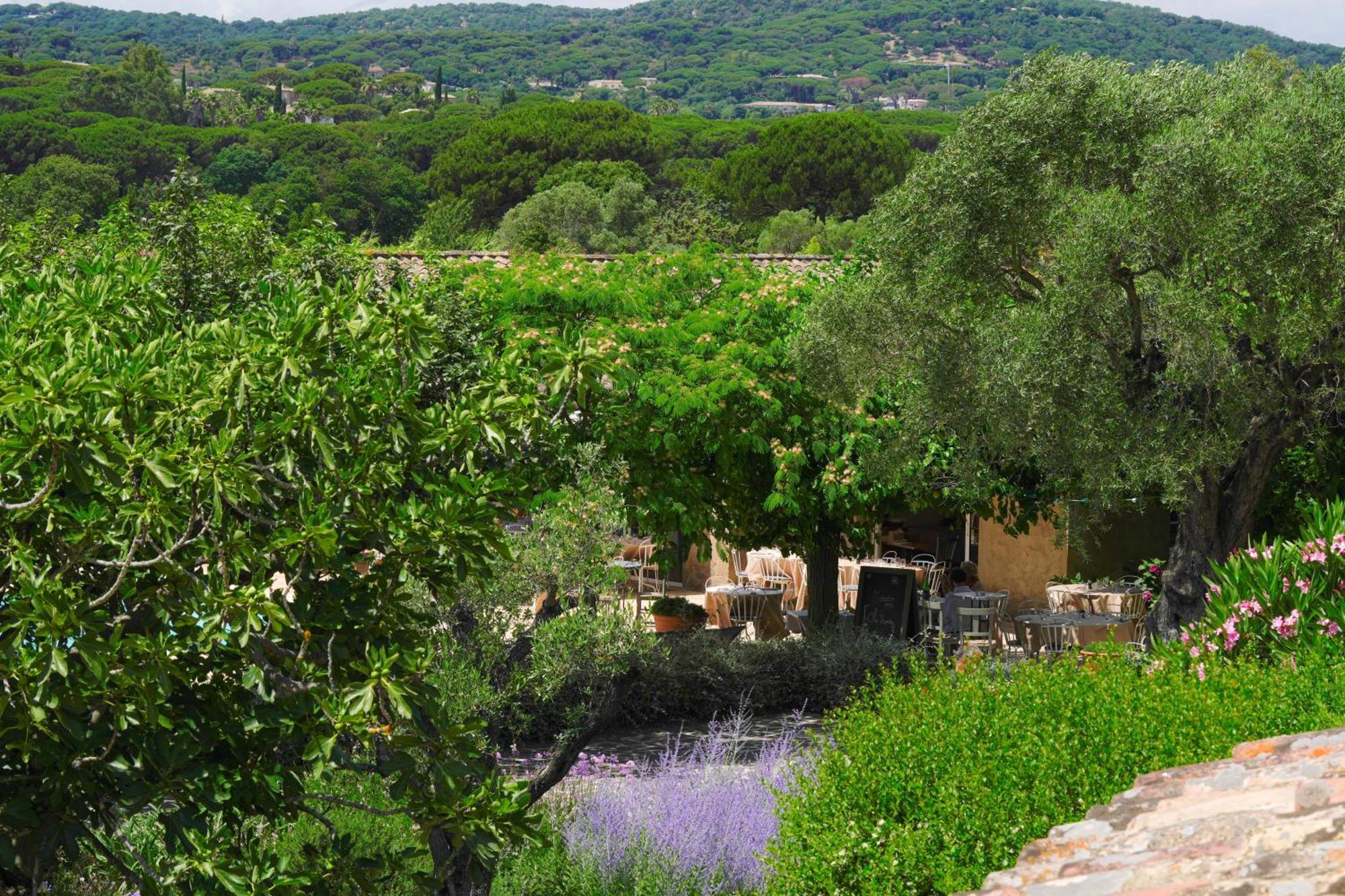 Hotel La Figuiere Ramatuelle Exterior photo
